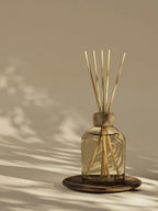 Reed diffuser in glass bottle
